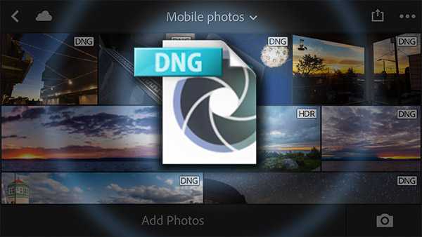 Featured image for The Unexpected Rebirth of Adobe DNG