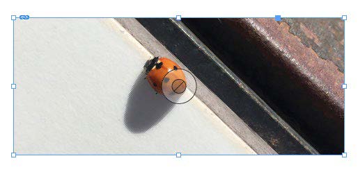 InDesign Content Grabber showing placed image rotation