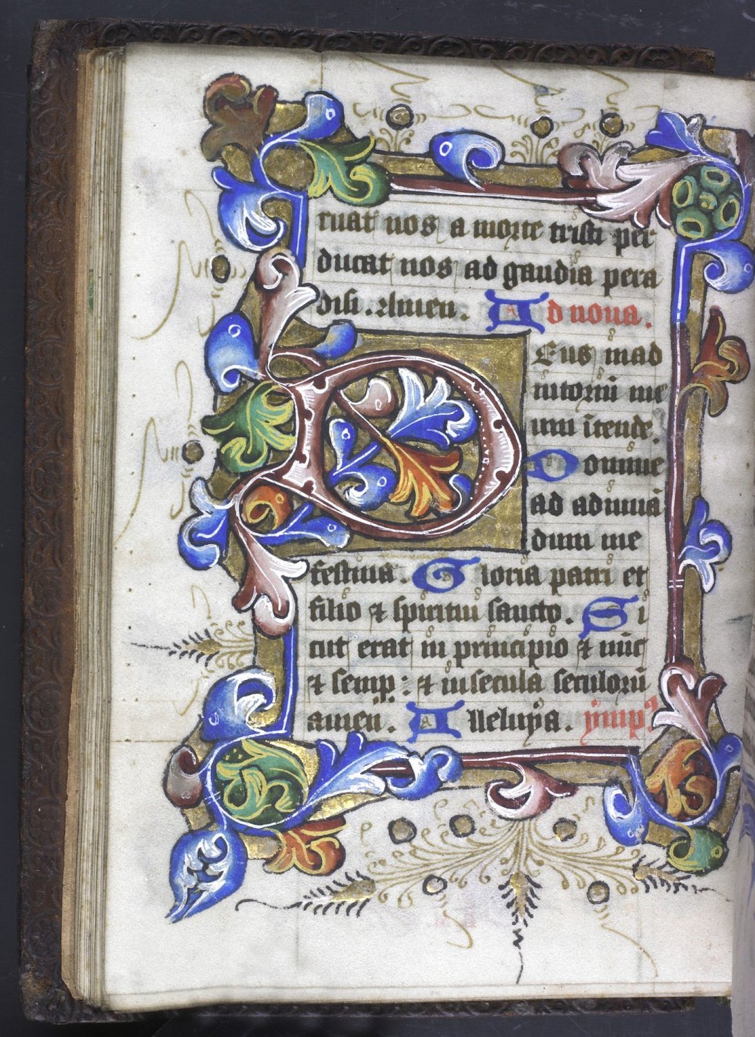 Capital D and border decorated with gold foil and pink and blue leaves