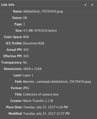 InDesign Link Info