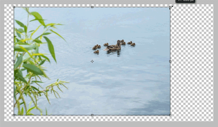 Animation demonstrating Content Aware Scale.