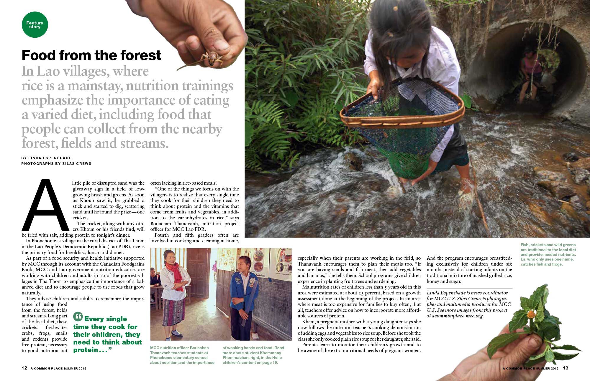 a magazine spread with large hands holding insects and plants. A young girl stands in a stream looking into her net