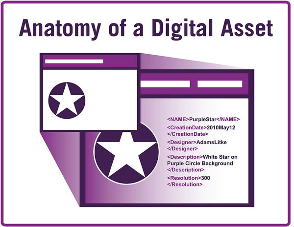 anatomy of a digital asset
