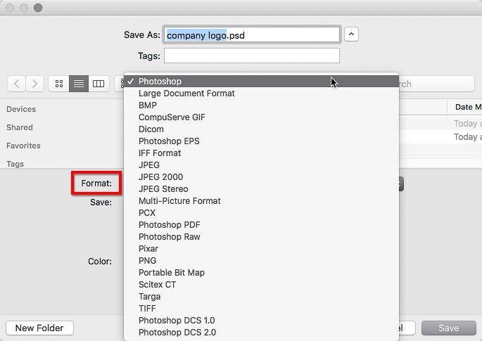 Format options in the Save As dialog box in Photoshop