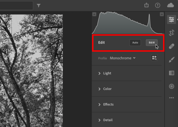 The B&W button highlighted in Lightroom.