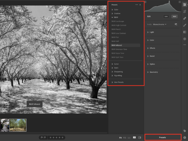 Black and white presets in a panel in Lightroom.