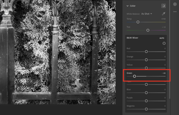 Editing the same image of the green bushes, but now they look darker, while the rest of the image stays the same, by moving the Green slider to the left.