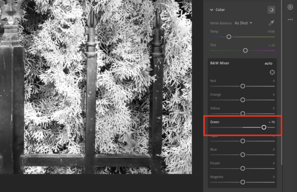 Editing the same image of the green bushes, but now they look lighter, while the rest of the image stays the same, by moving the Green slider to the right.