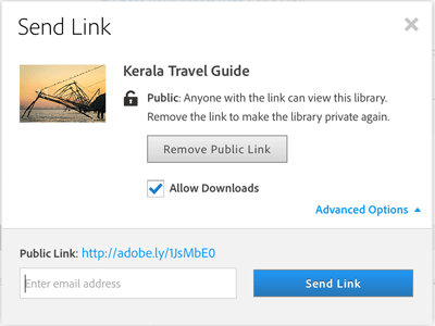 Figure 13: You can send a read-only copy of your CC library assets to colleagues to view or download.