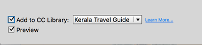 Figure 3: By default, when you add a new style or swatch, it is added to your current CC library. This option is sticky, so your most recent setting will stay current until you change it again.