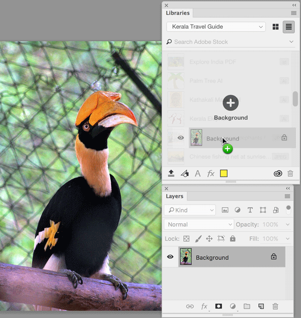 Figure 5: I’m adding a Photoshop image to my library by dragging a layer to Photoshop’s Libraries panel.