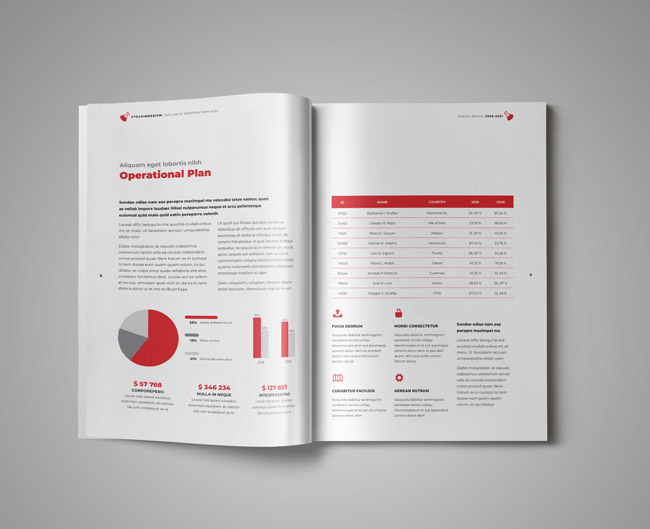 2.2.002 InDesign annual report template operational plan