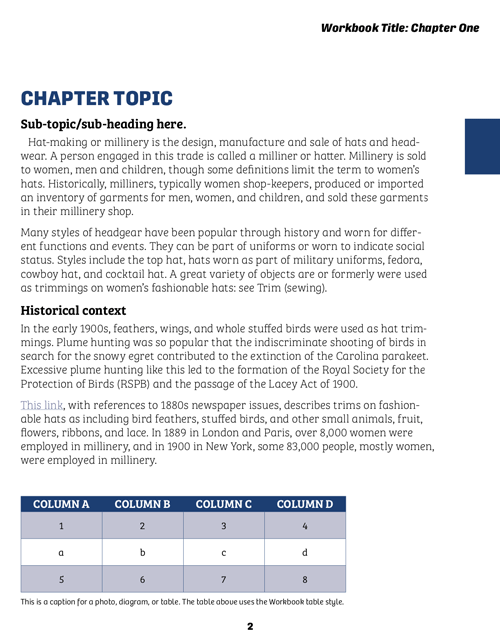 1.3workbook-template-3 InDesign workbook template chapter topic