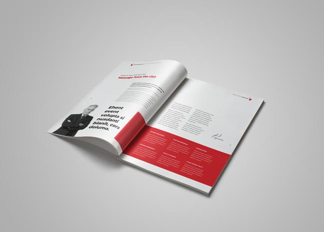 2.3.003 InDesign annual report template spread