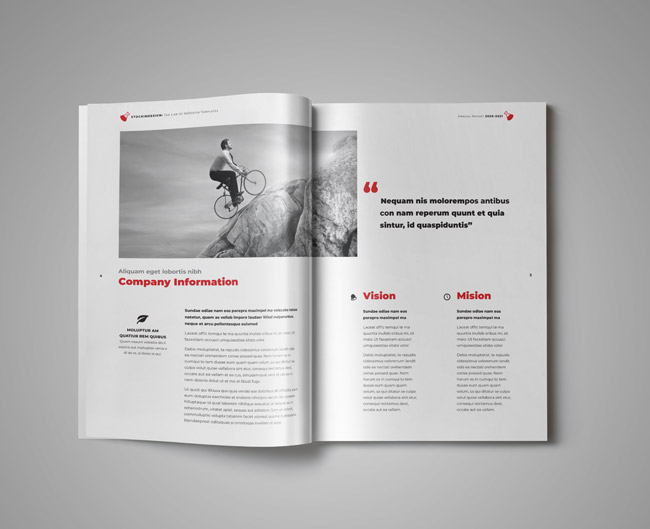 2.4.004 InDesign annual report template company information