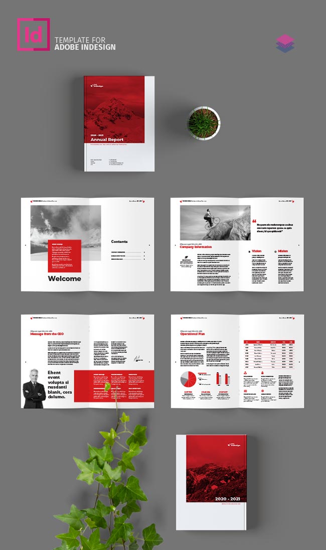 2.5.005 InDesign annual report template
