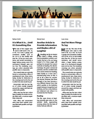 InDesign Newsletter template