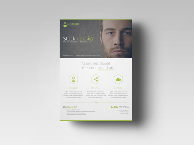 56.120151116-template-01 InDesign corporate flyer template