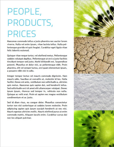 InDesign flexible product catalog internal