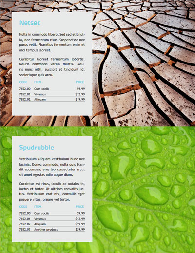 InDesign flexible product catalog product listing