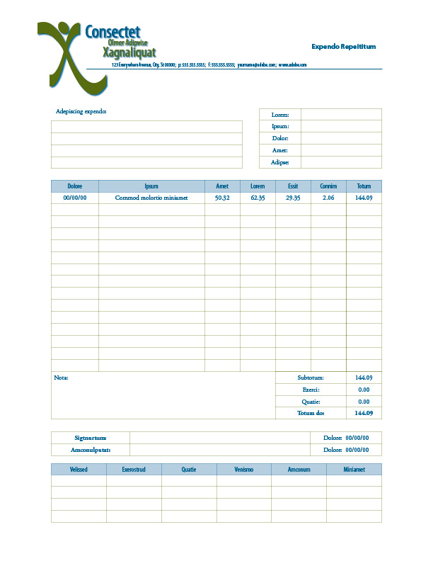 Expense Report