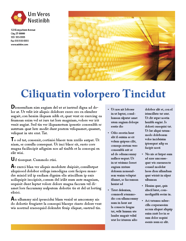 Flyer2