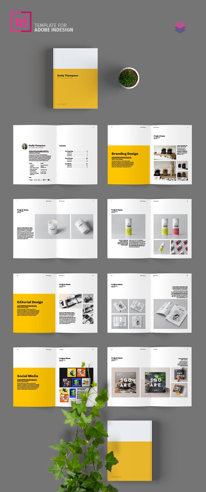 InDesigner portfolio members only template