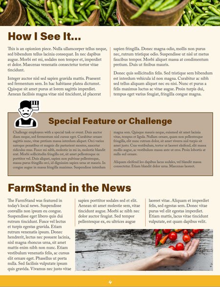 InDesign employee newsletter template special features
