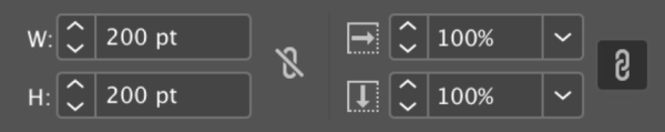 Control panel with W: 200 pt, H: 200 pt, horizontal and vertical scaling 100 percent.
