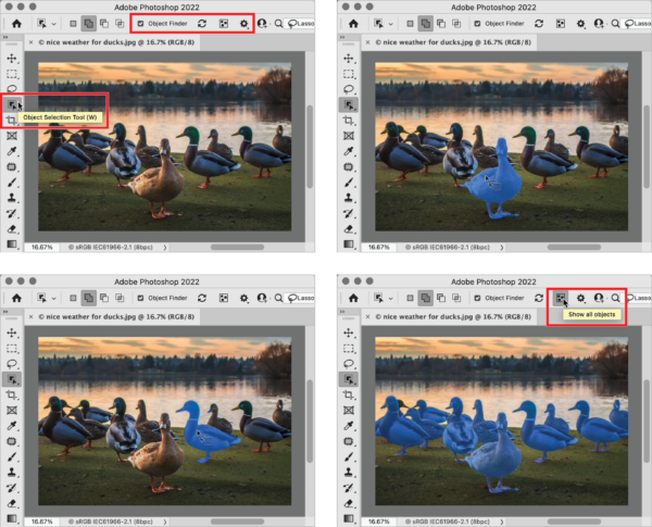 Four screen shots of Adobe Photoshop 2022, with image of flock of ducks with one in foreground. Top left highlights Object finder and Object Selection Tool. Second image shows Object Selection Tool and foreground duck colored in blue mask. Third image shows one other duck in flock colored in blue mask. Fourth image shows
<!--more--><p id=