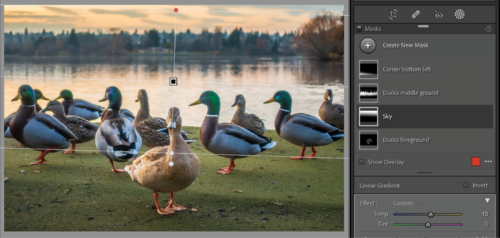 Lightroom Classic screen shot of the ducks shows Masks panel with Sky preset applied.