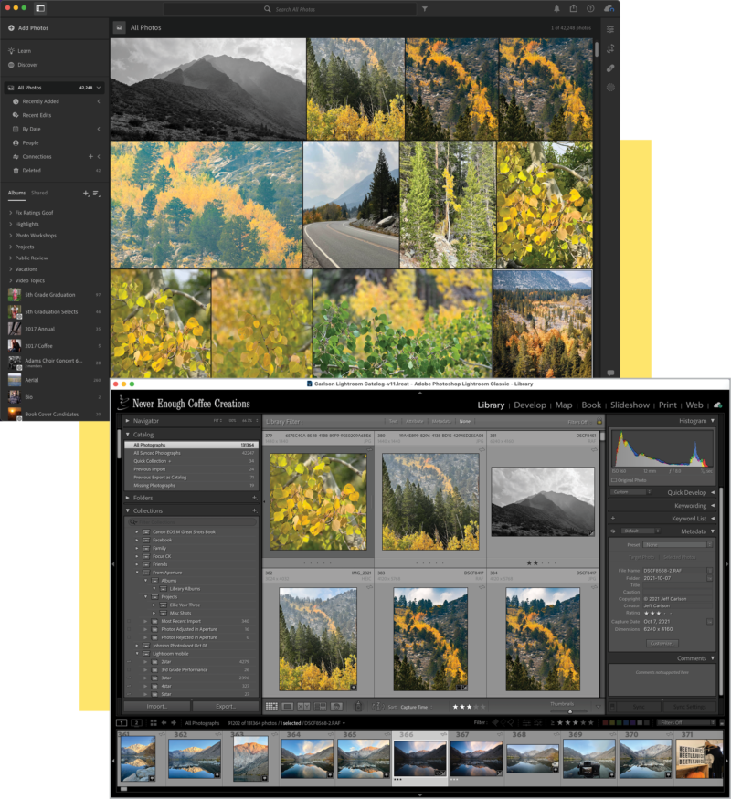 Lightroom library—from Classic and desktop—showing images of various outdoor shots.