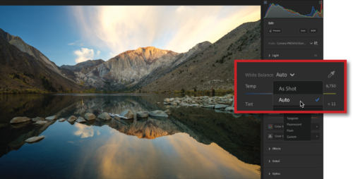 A red box highlights the use of Auto white balance.