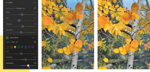 Two versions of the same photo—one with unnaturally blue sky, the other looking more normal—and the controls for Color Mixer.