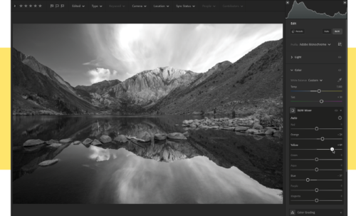 Black and white image shows B&W Mixer panel, with color sliders for manipulating the tones that convert to black and white.
