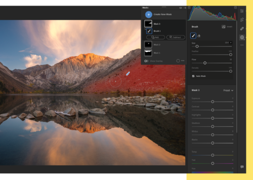 Mountain range in sample image masked by painting with brushes. Brush panel displayed.