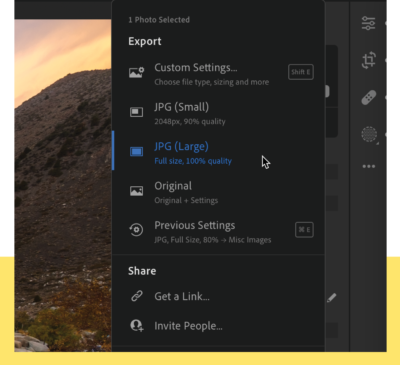 Export panel shows custom settings, JPG (small), JPG (large), original, previous settings, with Share menu (get a link, invite people)