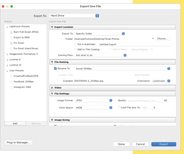Export One File dialog box with presets and options for Export Location, File Naming, Video, File Settings, Image Sizing.