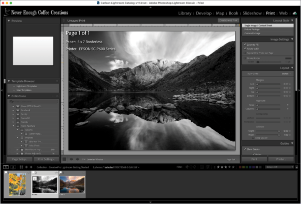 Print menu shows options for Image Settings, Layout, and Guides.