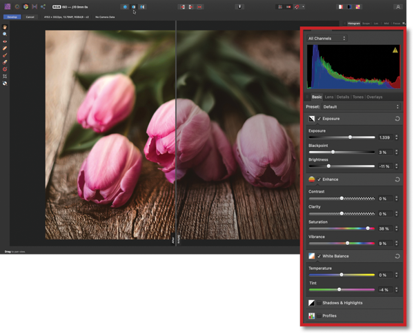 Screen shot of Affinity Photo with half the image (pink roses) previewing the effect of the Develop Persona settings.