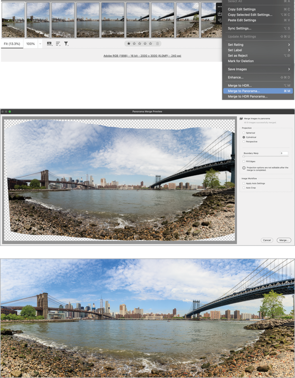 Three dissimilar images selected. Panorama Merge Preview dialog box shows Perspective selected. Final composite image of trees.