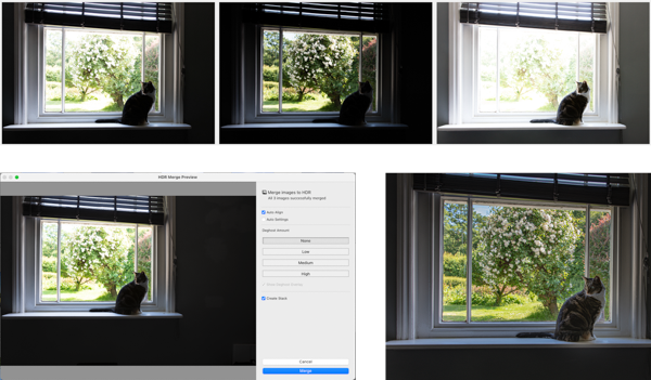 Three frames as HDR with varying exposure. Screen shot of dialog box for HDR Merge Preview shows options: Auto Align, deghtost amount none, create stack. Final image of cat at window shows both cat and outside scene through window correctly exposed