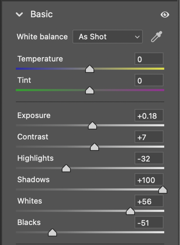Photoshop Camera Raw panel with basic settings: White Balance, Temperature, Tint, Exposure, Contrast, Highlights, Shadows, Whites, Blacks.