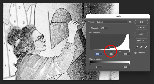 Original image with levels applied to create greyscale/line art look. Inset in image is screenshot of Photoshop Levels panel with highlight on Black Level setting.