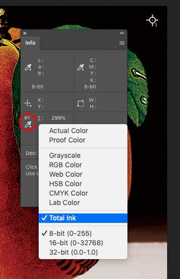 TIC option in Info panel