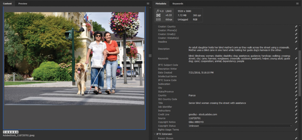 Metadata panel in Bridge shows all metadata fields for photo in figure 2 (description, keywords, date created, country, title, credit line, source, copyright notice, copyright status