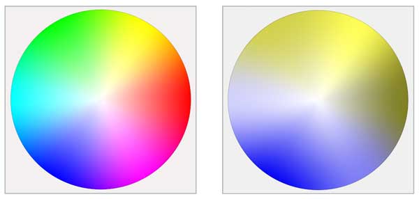 two color wheels comparing normal vision to deuteranopia
