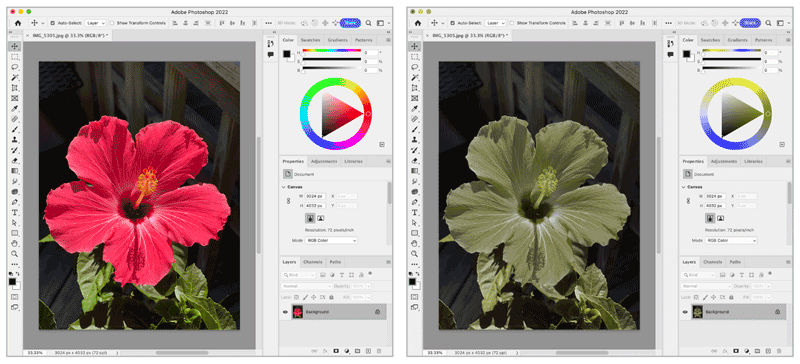 a comparison of normal vision to deuteranopia in Adobe Photoshop using Color Oracle