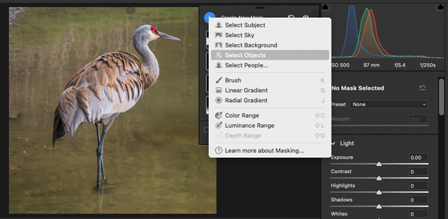 Adobe Camera Raw 2023 Select Object feature