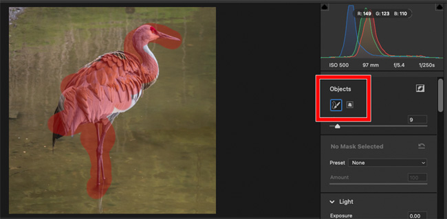 Adobe Camera Raw 2023 Select Object feature